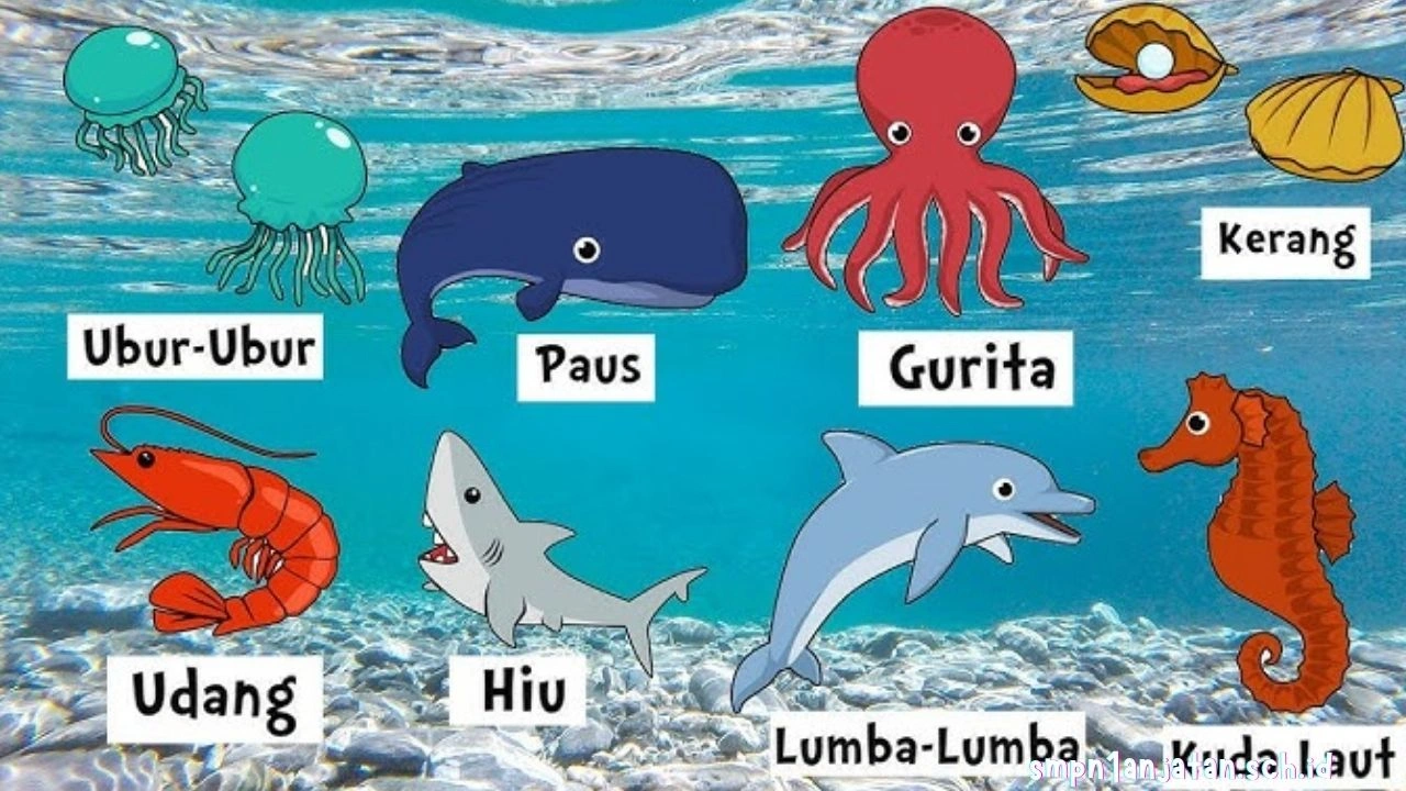 hewan-laut