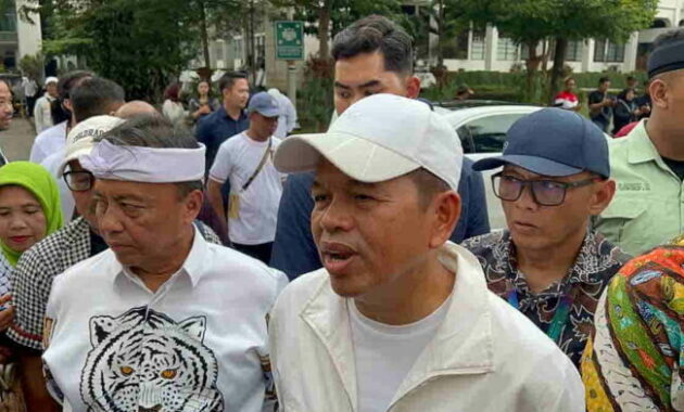 Dedi-Mulyadi
